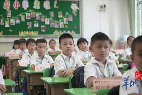 刚刚,广州培训机构监管办法征求意见来了 可以做中小学学科培训,但不能超标